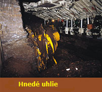 Hnede_uhlie1